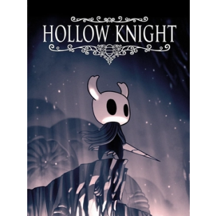 Hollow knight